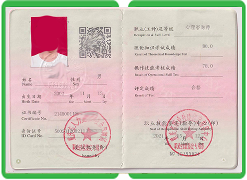 职业技能等级证书样本